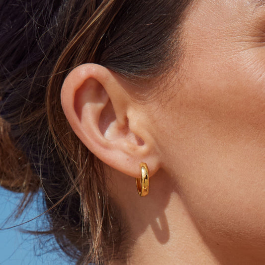Bold Anissa Hoops