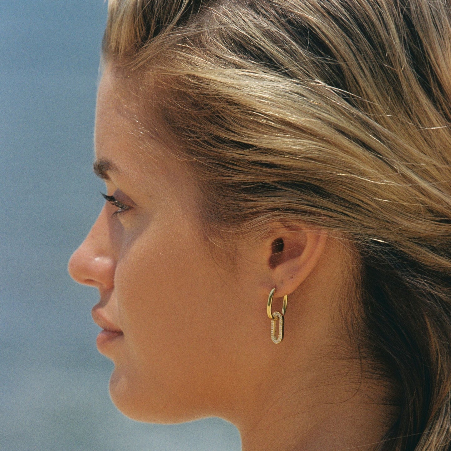 Double Hoop Earrings
