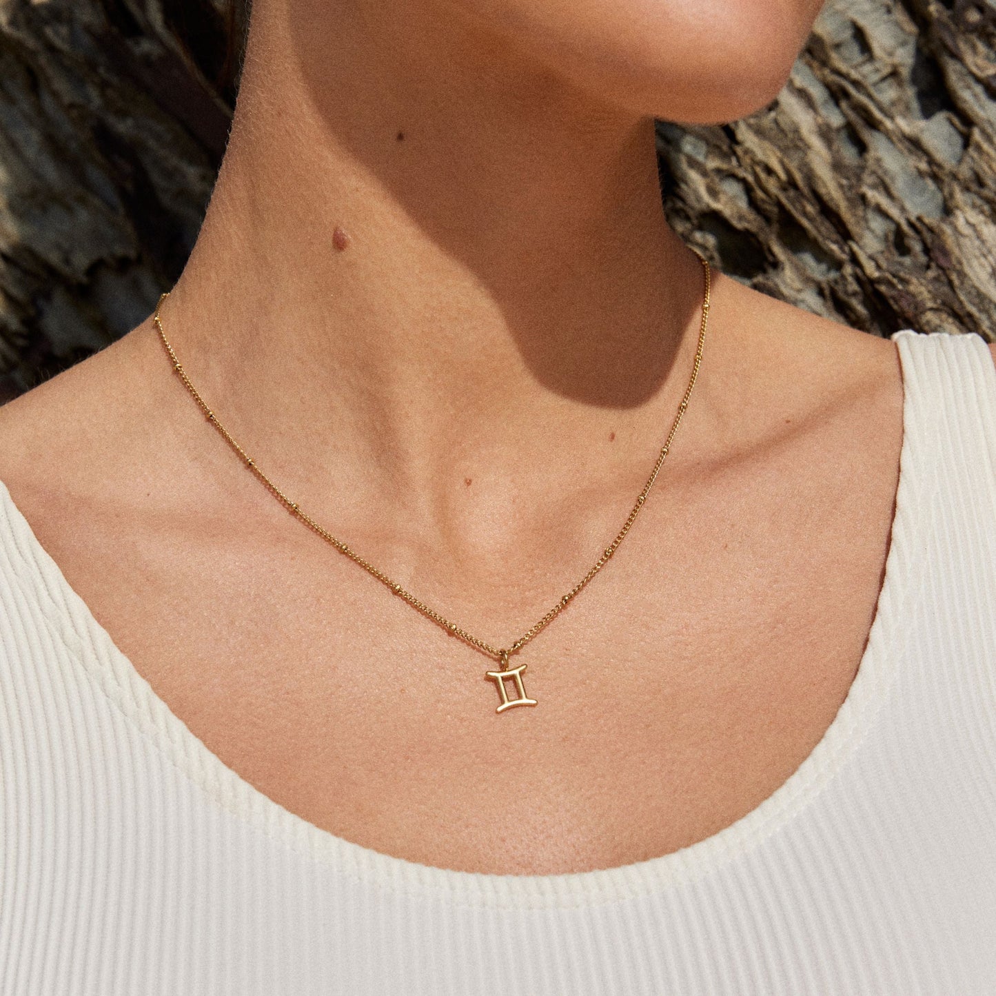 Zodiac Sign Necklace